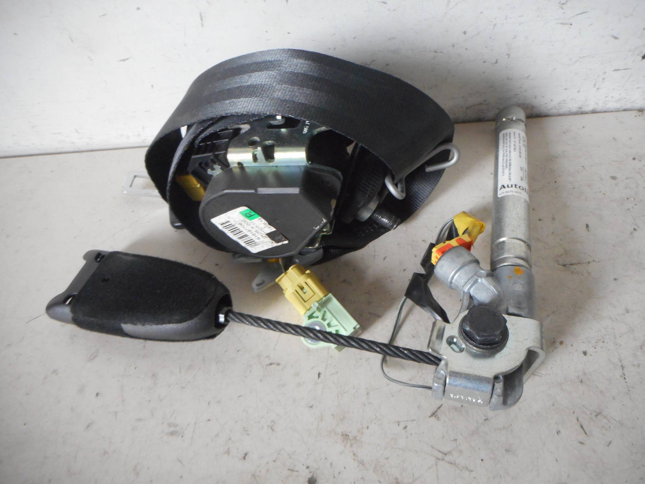 Cintura di sicurezza ant. dx.